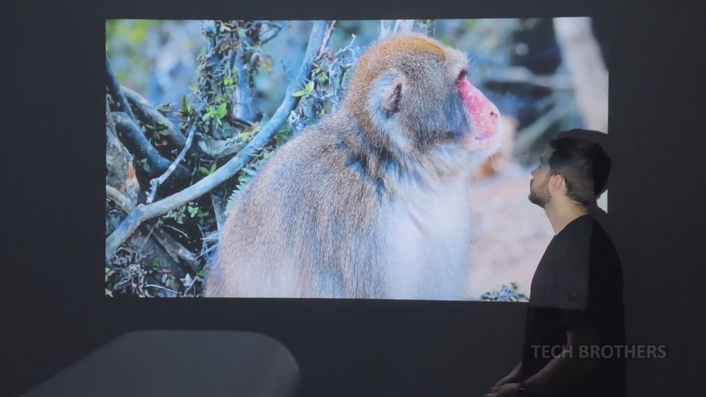 Redmi Projector Lite projection screen size